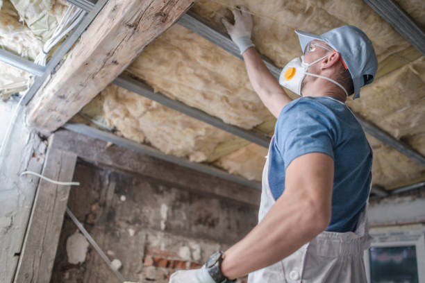 Best Wall Insulation Installation  in Melwood, MD