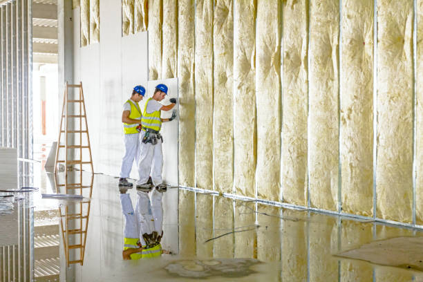 Types of Insulation We Offer in Melwood, MD